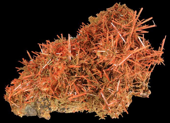 Bright Orange Crocoite Crystals - Tasmania #64364